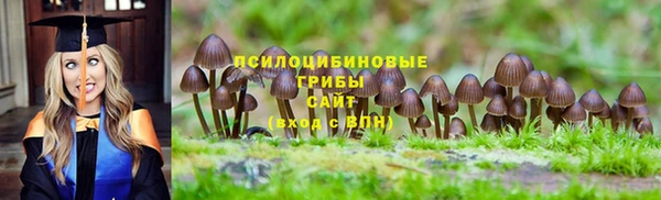 мескалин Аркадак