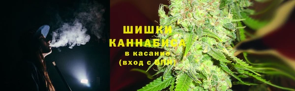шишки Яровое