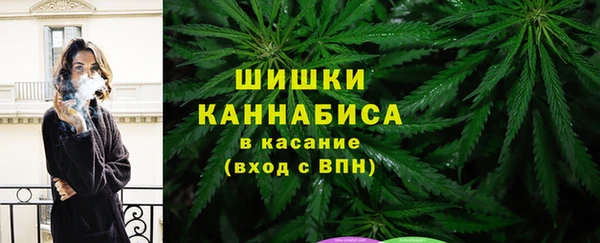 крисы Армянск